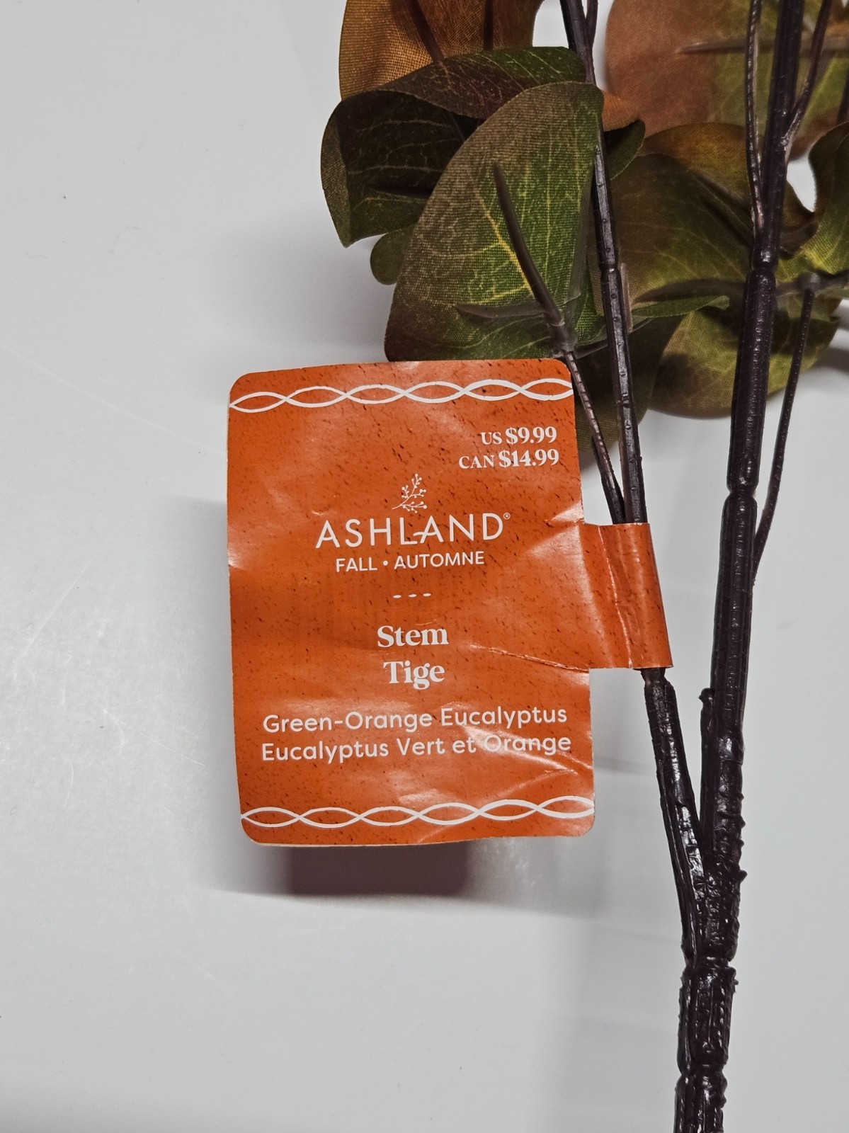 Ashland Green-Orange Eucalyptus
