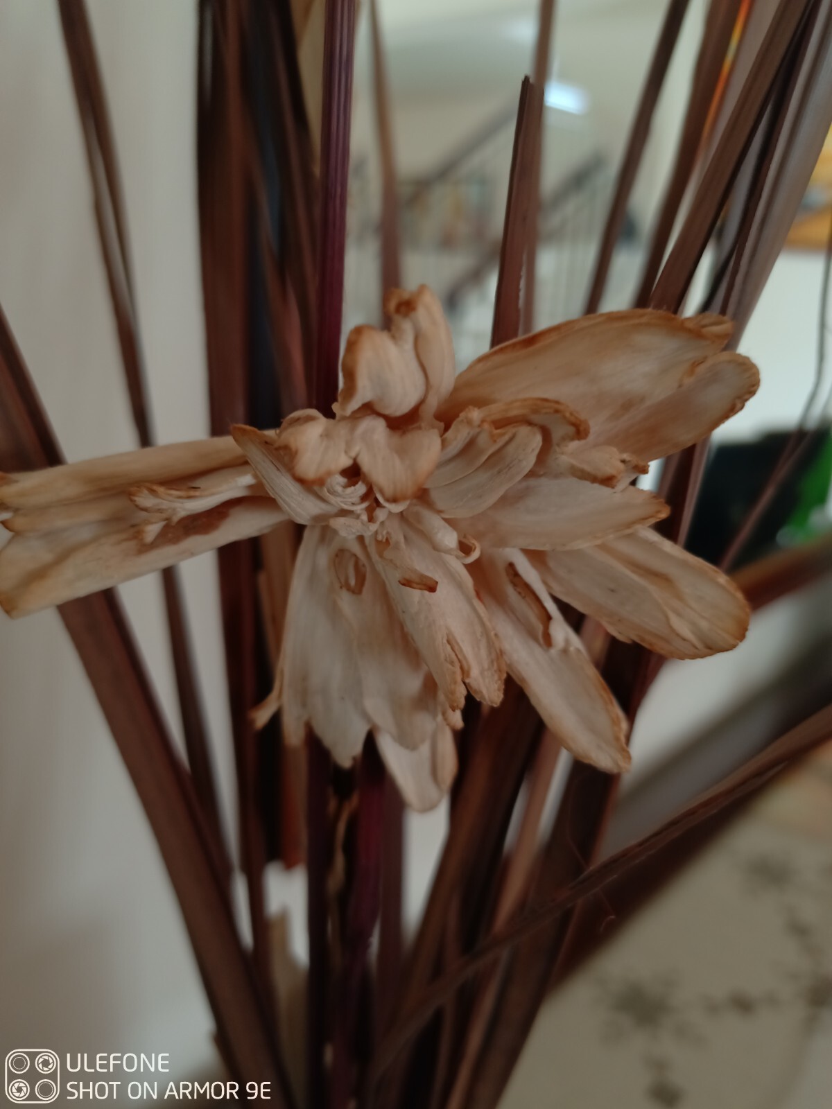 WOW Decorative Wooden Box Pot Vase Planter Dried Flowers, Handmade Home Decor