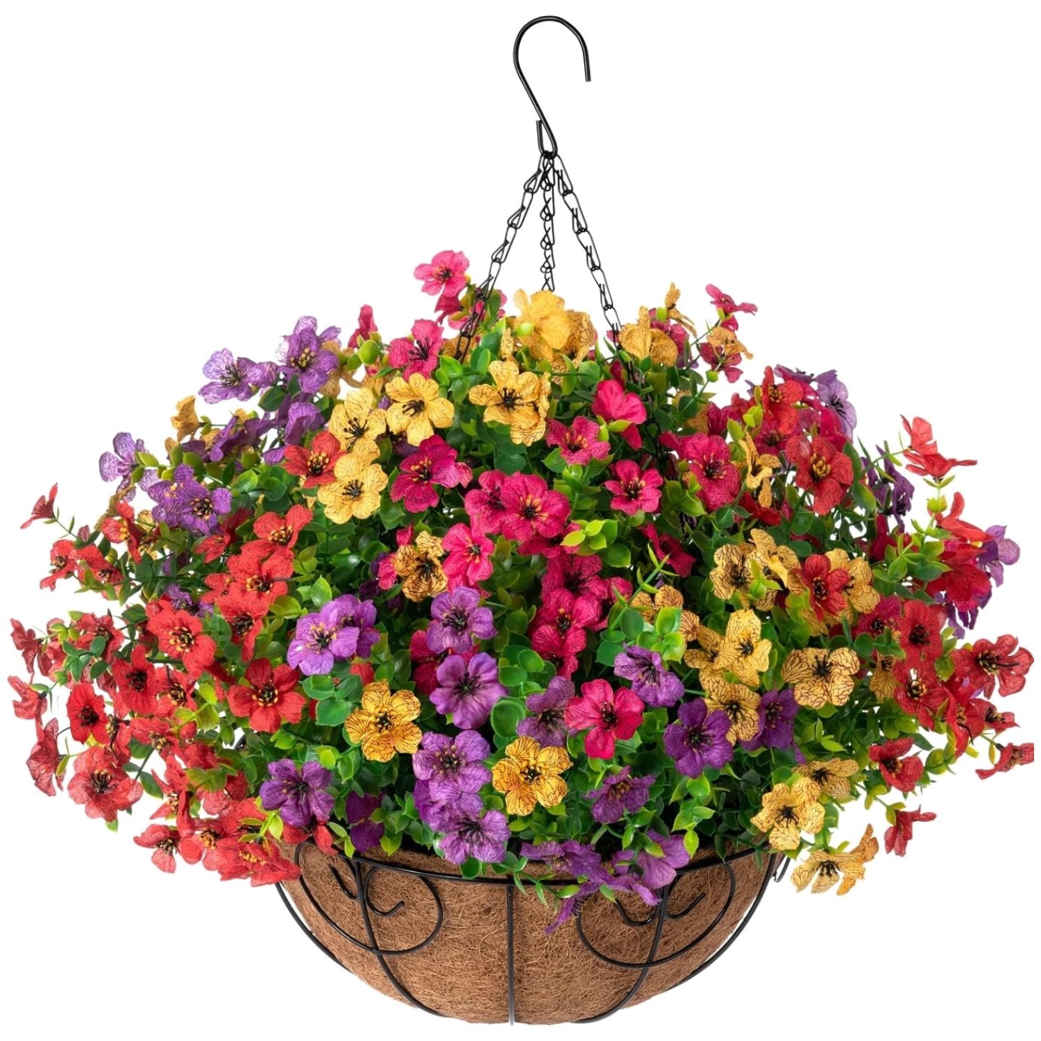 Colorful Daisy Eucalyptus Hanging Basket