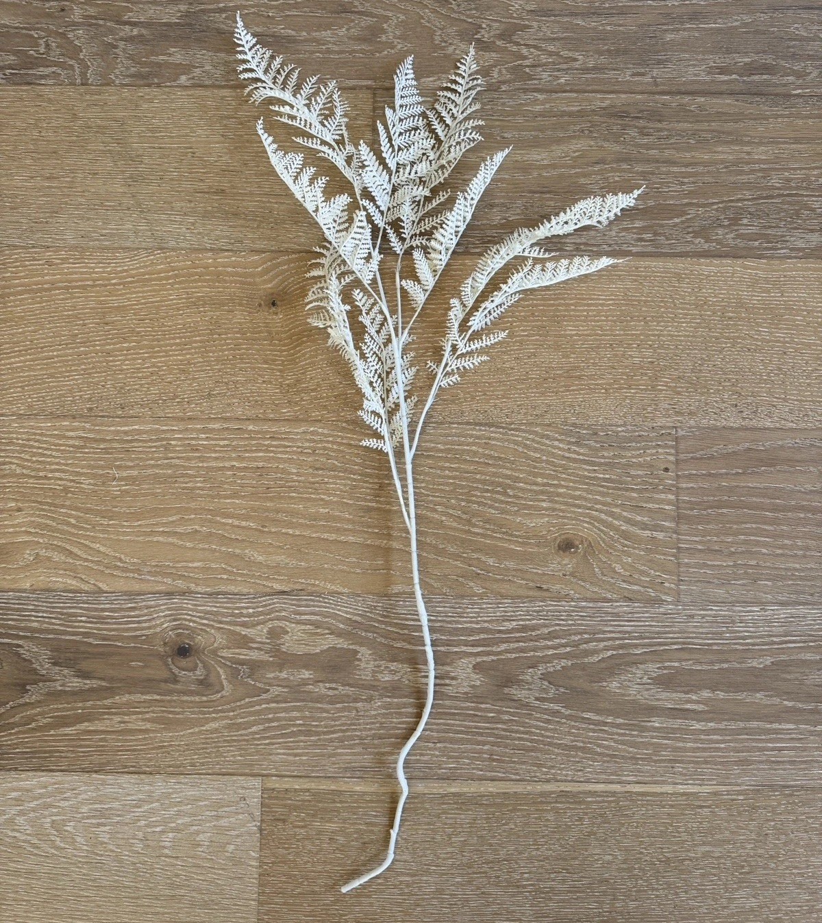 CB2 Modern 36” Faux White Fern & 51” Champagne Gold Willow Leaf Holiday Florals