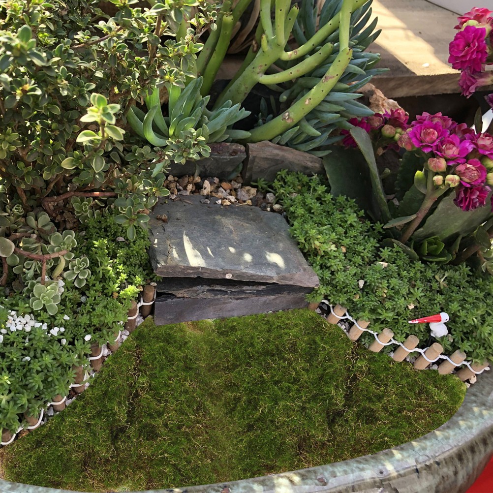 1 Set Reusable Artificial Moss Pad Green Micro Landscape Prop for Home Decor