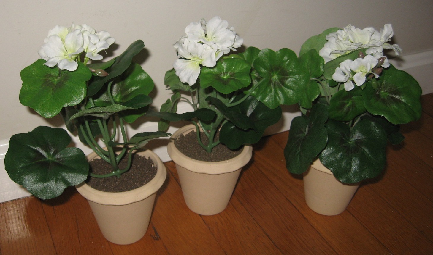 Set of 6 Geranium Potted Arrangements – Threshold Studio Decorative Plants NEW!!