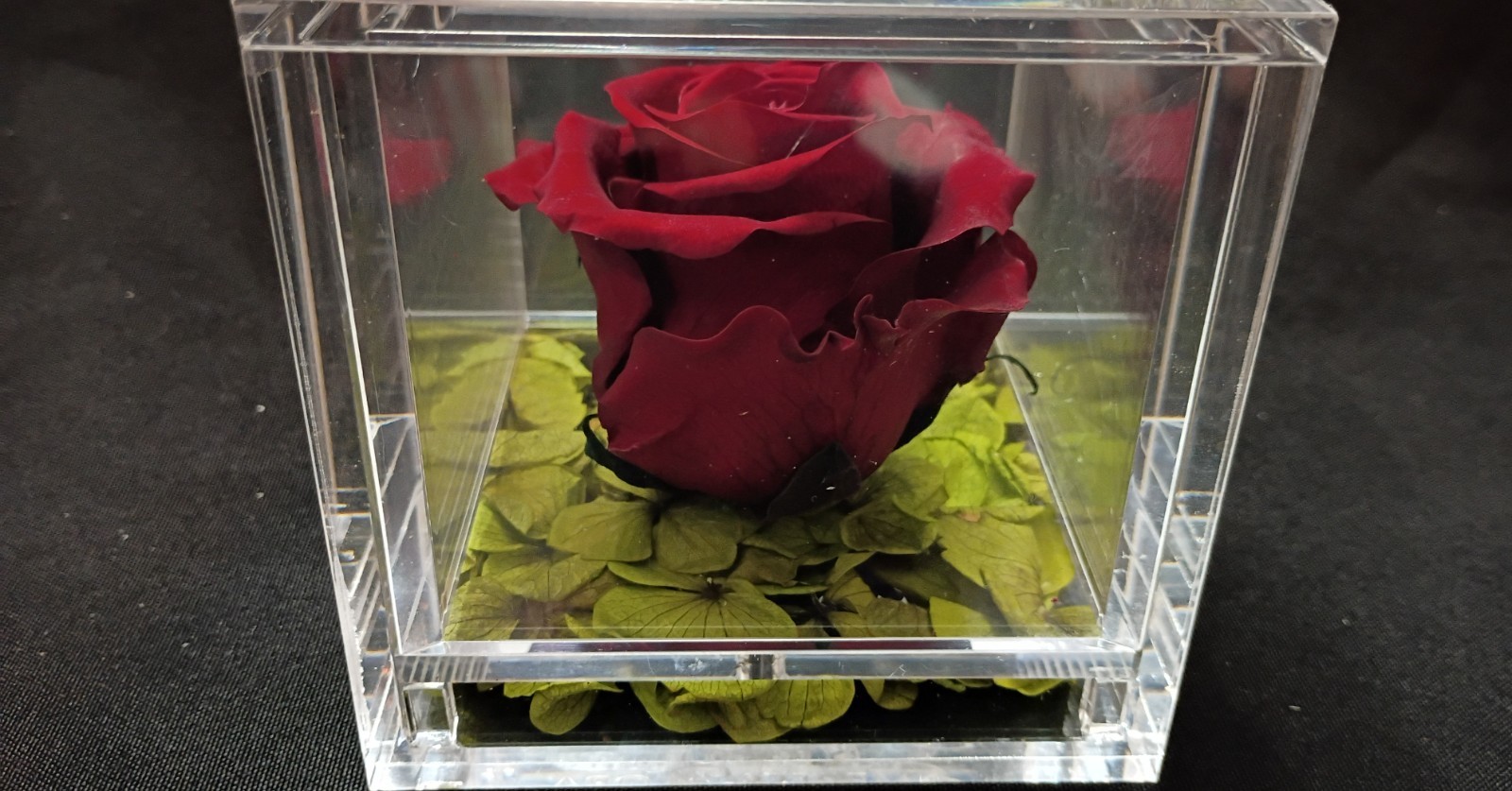 🌹Empress Flora 🌹Preserved Roses in 4″ x 4″ Acrylic Cases🌹Set of 2