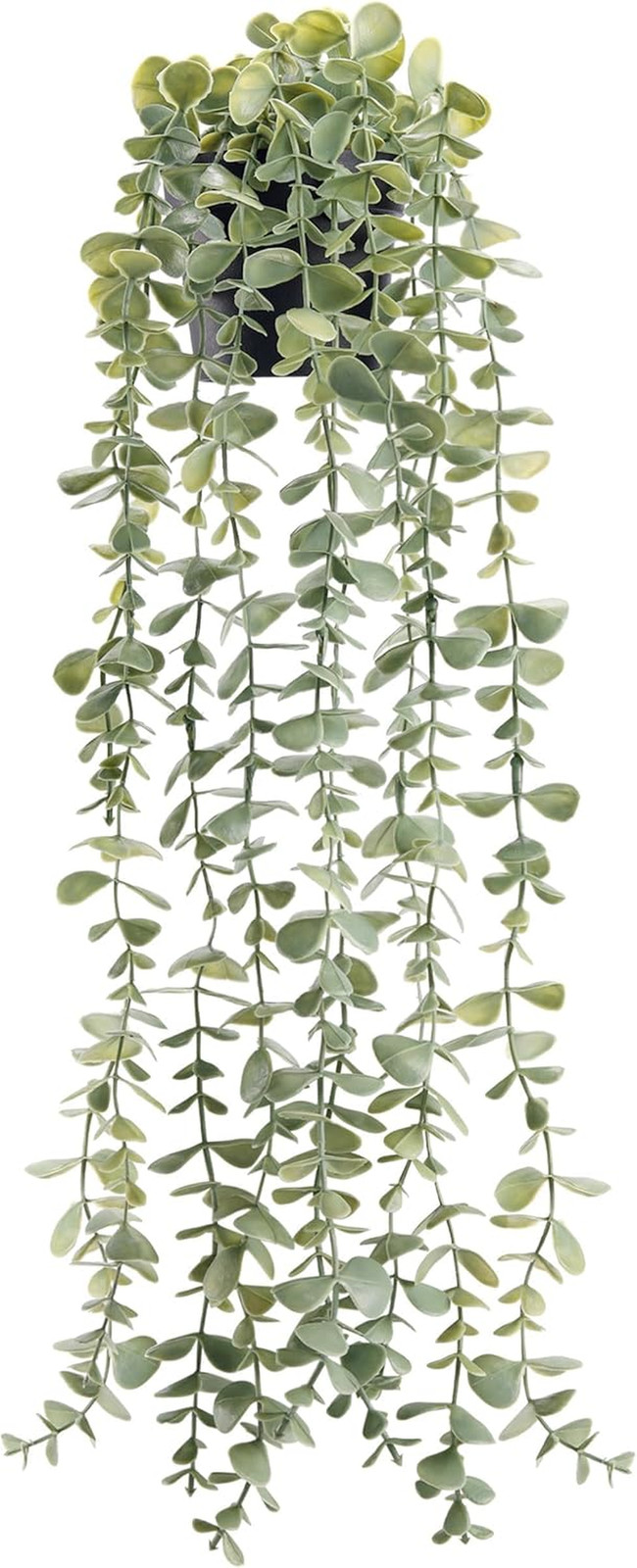 Fake Eucalyptus Hanging Plant for Boho Bathroom Wall Art Decor | Vintage Cascadi