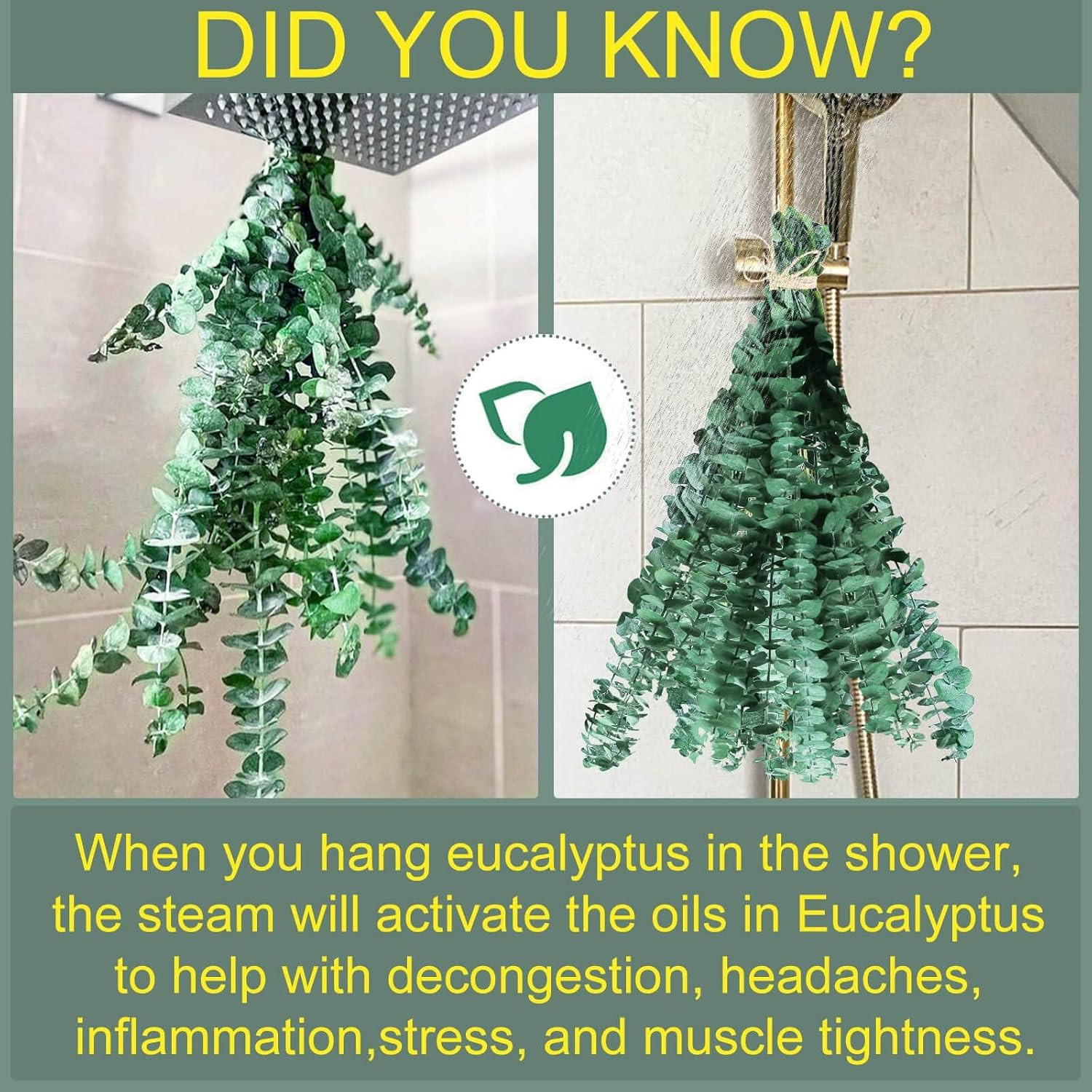 30 PCS Dried Eucalyptus Stems for Shower – Natural Aromatherapy Decor