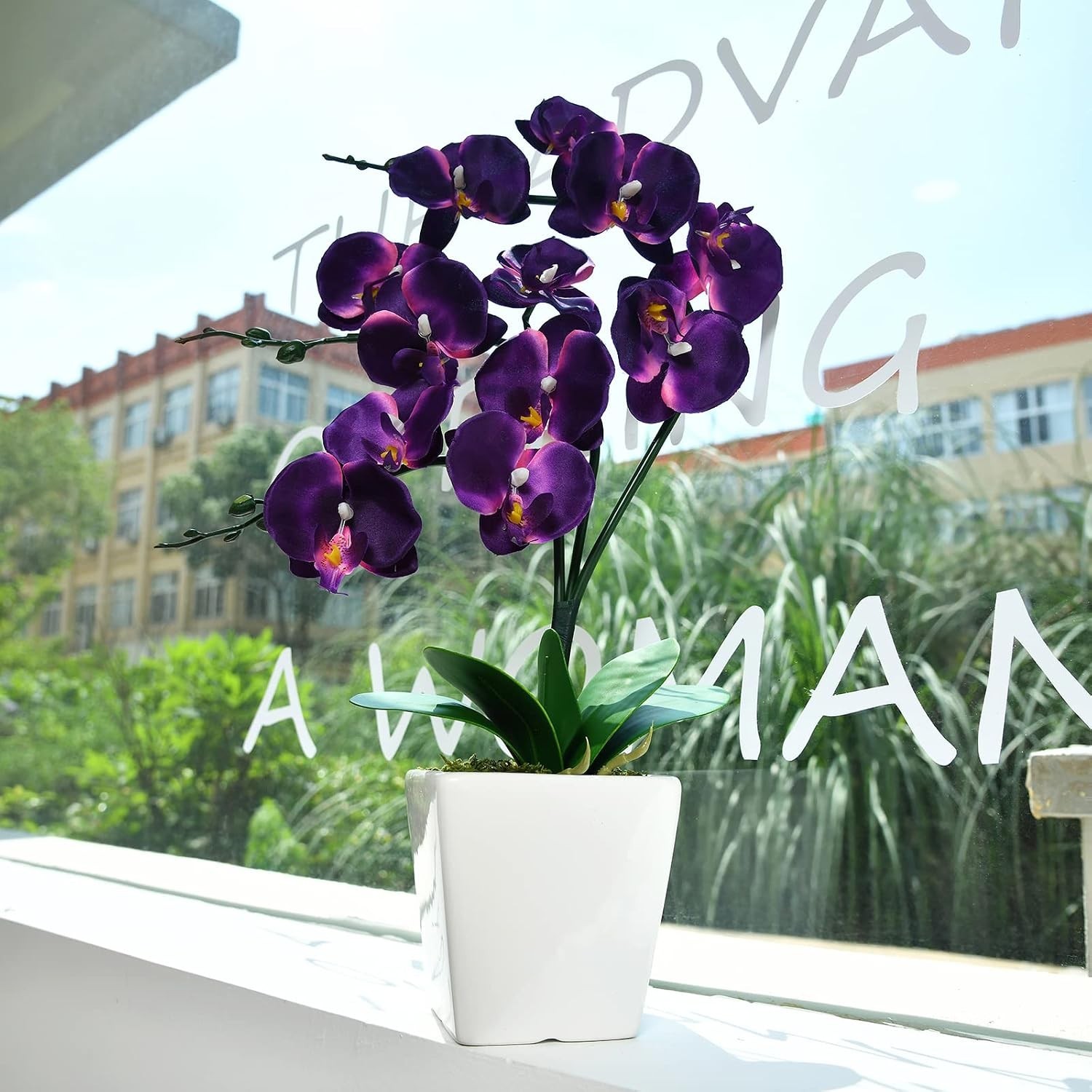 Lifelike 15″ Phalaenopsis Orchid with Square Ceramic Pot – Ideal for Home Decor