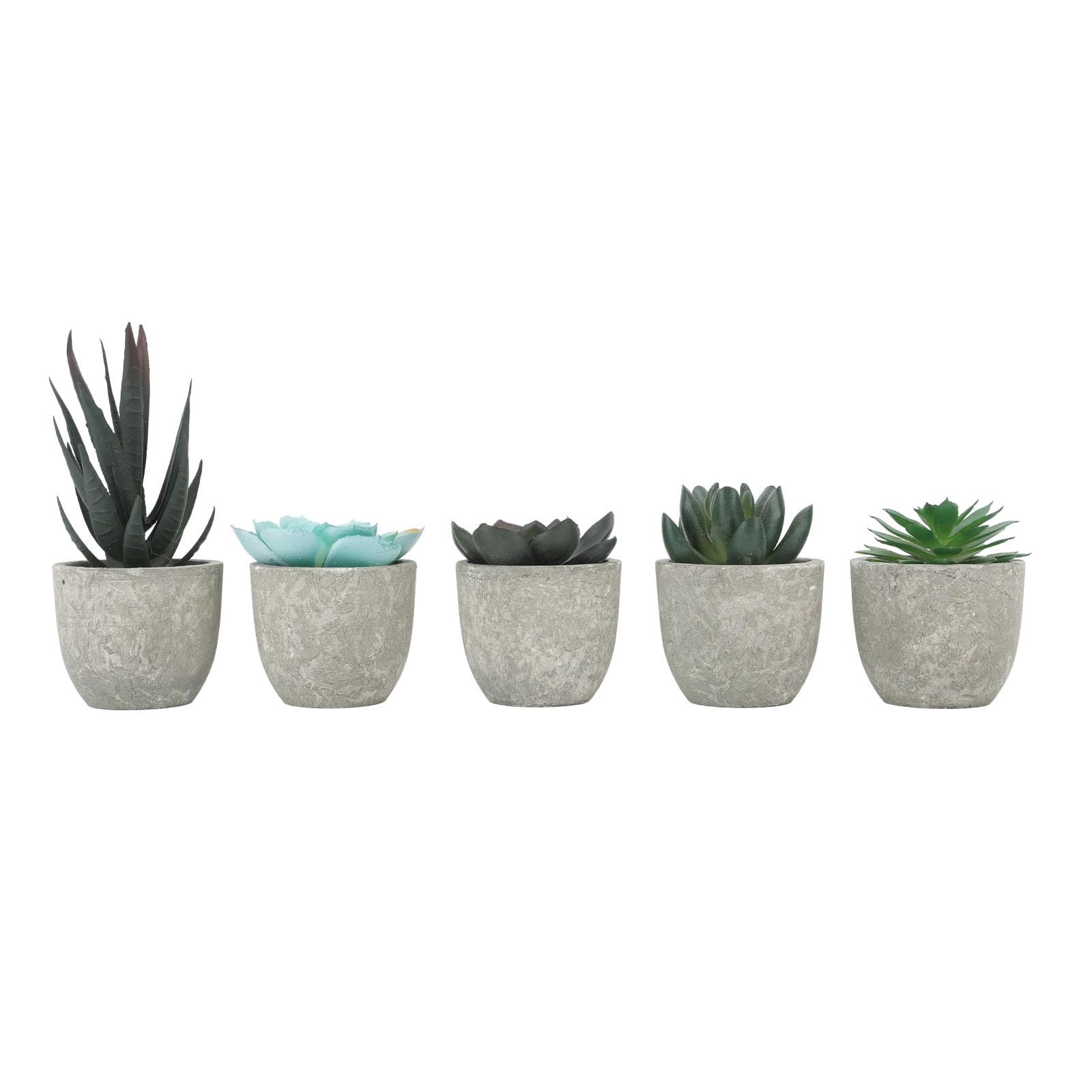 5 PCS Succulents Plants Artificial Mini Fake Pots Assorted Small Faux Decor