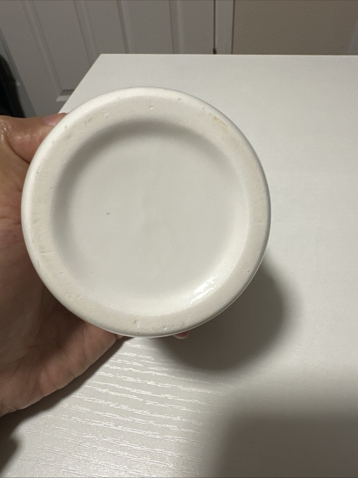 Artificial Succulent Plant in White Ceramic Pot – Small Desk Decor – Used
