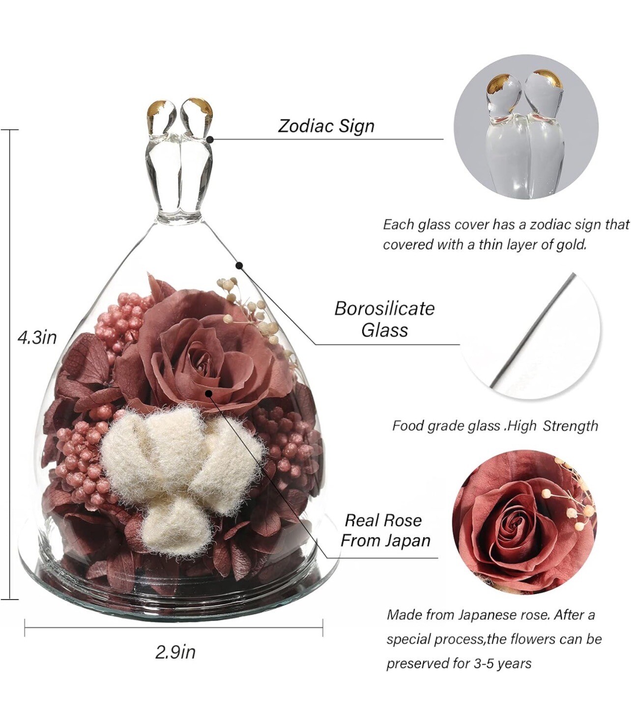 Hoomna Forever Preserved Rose Gift Set