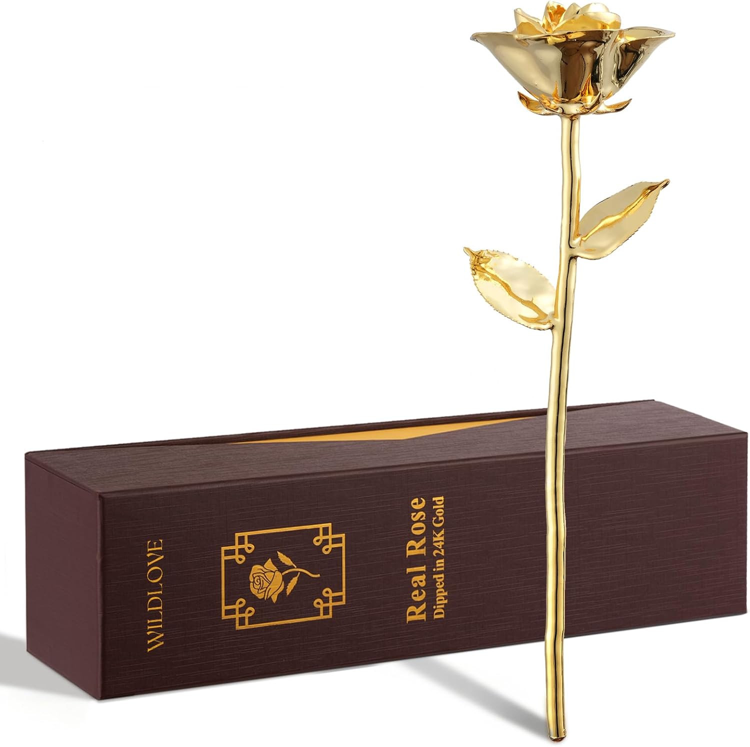 24K Gold Dipped Rose – Real Natural Rose Preserved in Pure Gold – Romantic for H