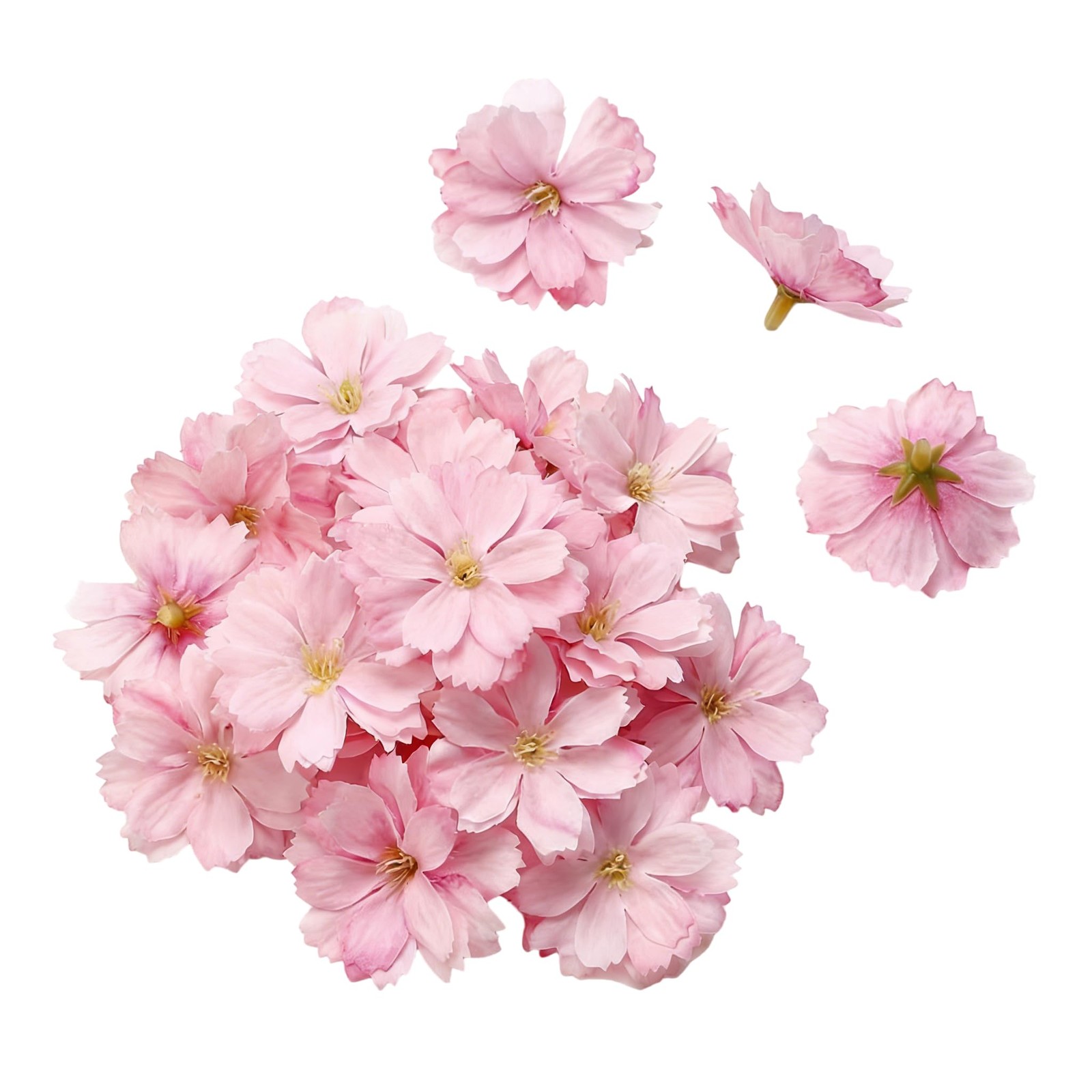 20Pcs Artificial Silk Cherry Blossom Flower Heads Fake Plum Blossom Flower Pe…