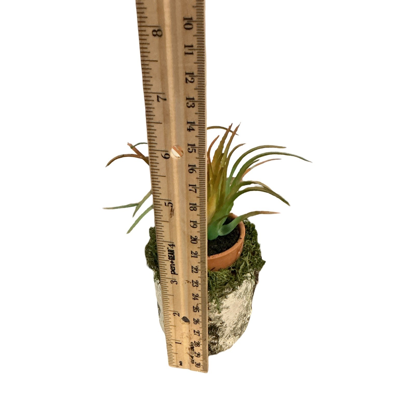 Handmade Artificial Succulent in Birch Log with Moss Rustic Woodland Home Decor