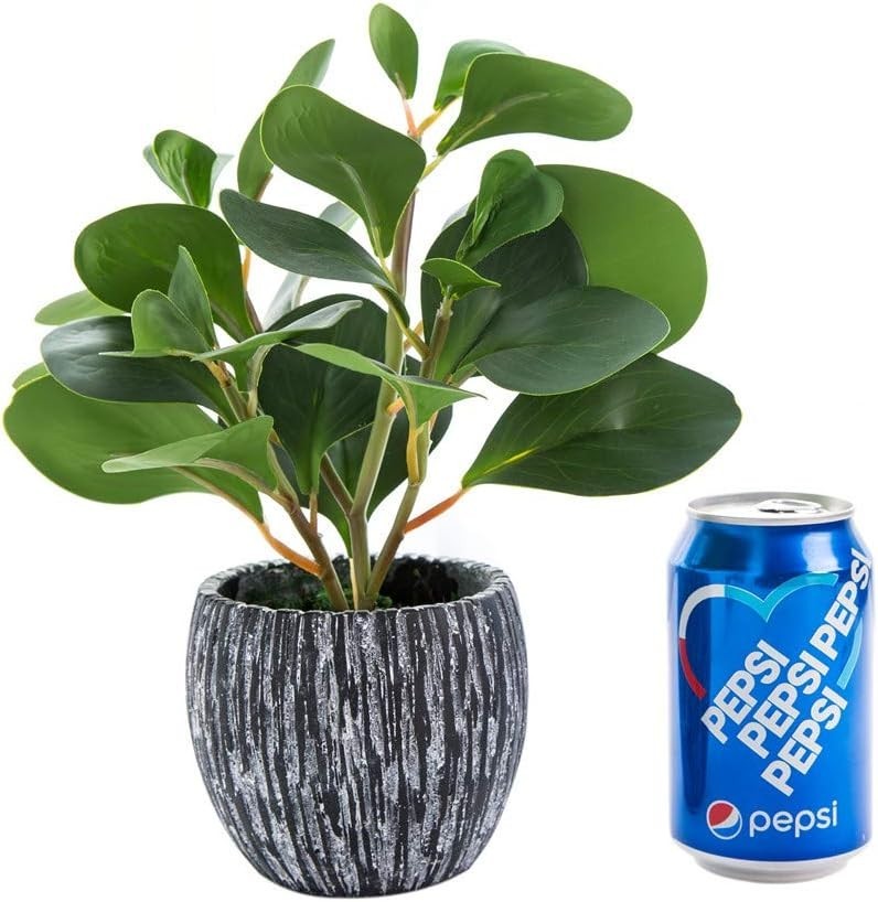 Beautifully Realistic Fiddle Leaf Fig Plant with Cement Planter for Modern Homes