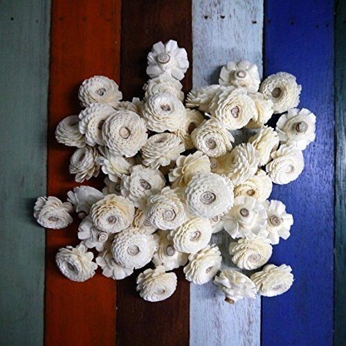 50 Zinnia Balsa Sola Wood Flower Diffuser Flowers 3 cm Dia. For Decorate Craft