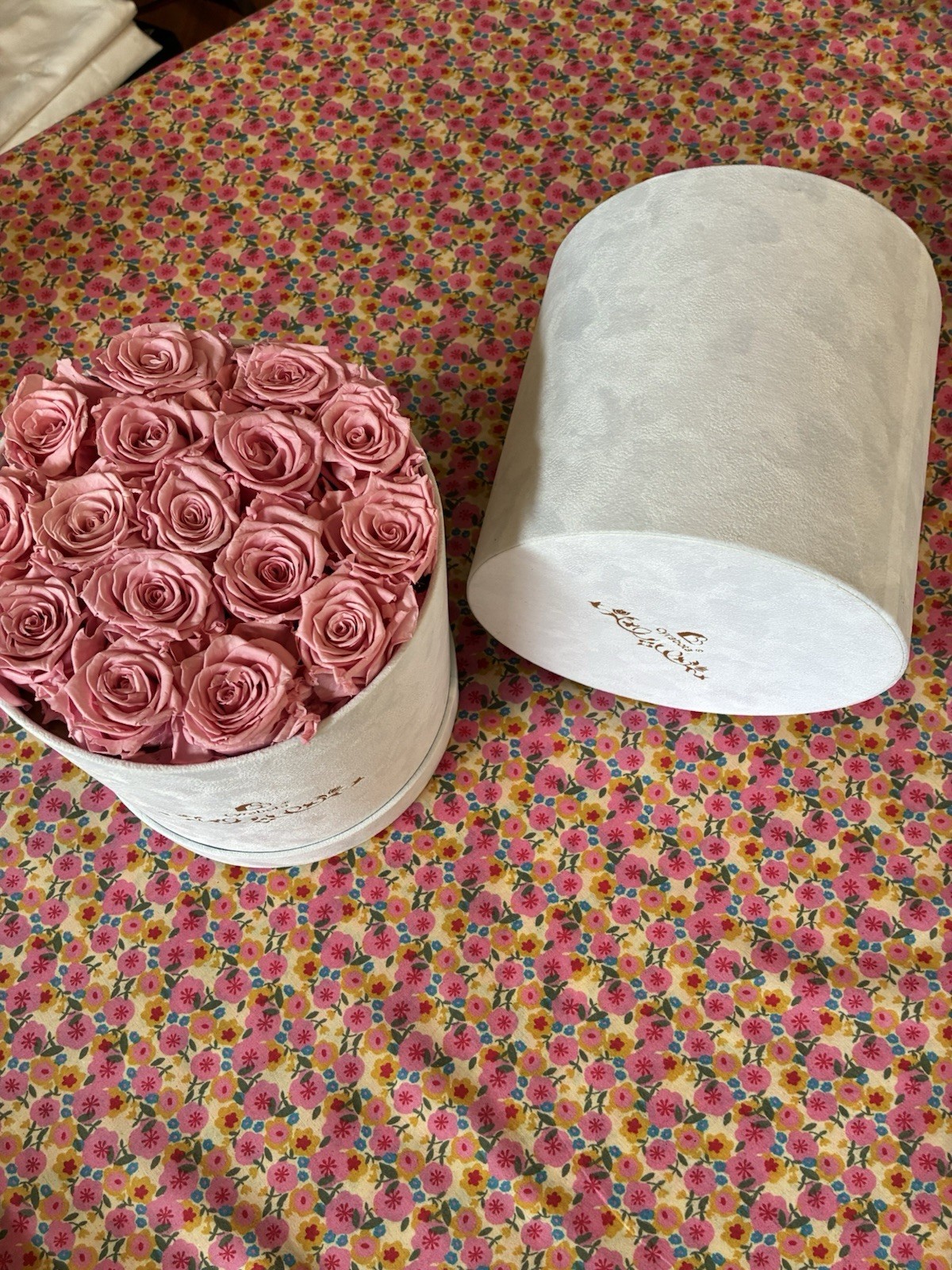 Cyrabota Luxury Preserved Pink Roses in White Suede Box 16 Count