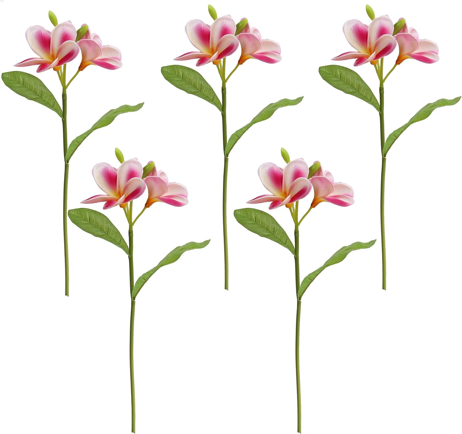 5PCS PU Real Touch Lifelike Artificial Plumeria Frangipani Flower Stems Wedding