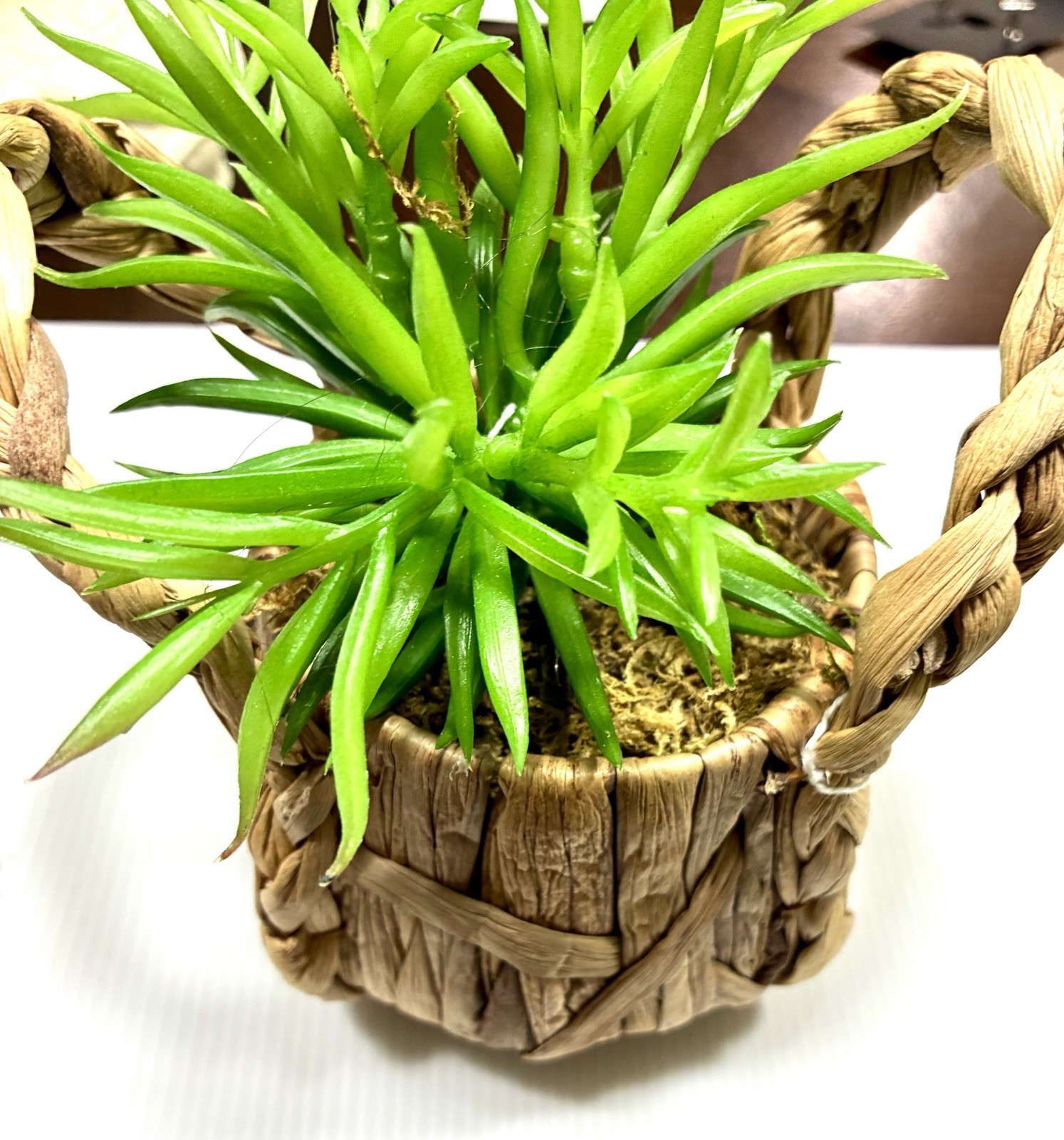 Artificial Faux Succulent Potted Plant In Basket Home Office Shelf Decor
