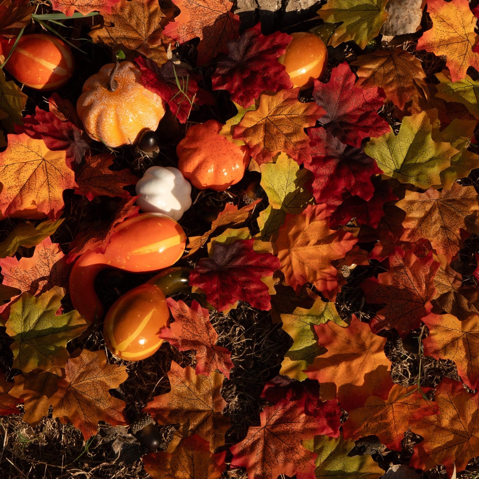 200 PCS Artificial Maple Leaves Mixed Color Fall Thanksgiving Table Decor