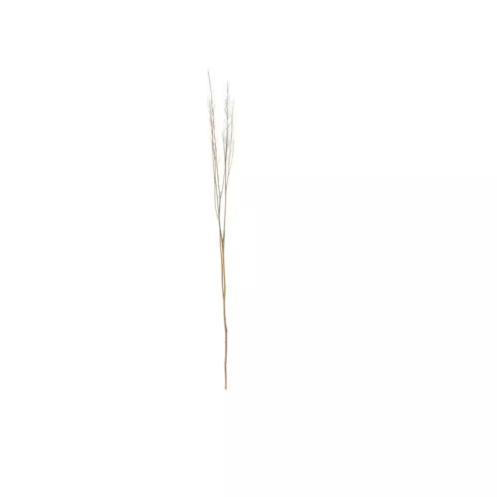 42 In. Tall Sticks Natural Foliage with Grass (One Bundle)