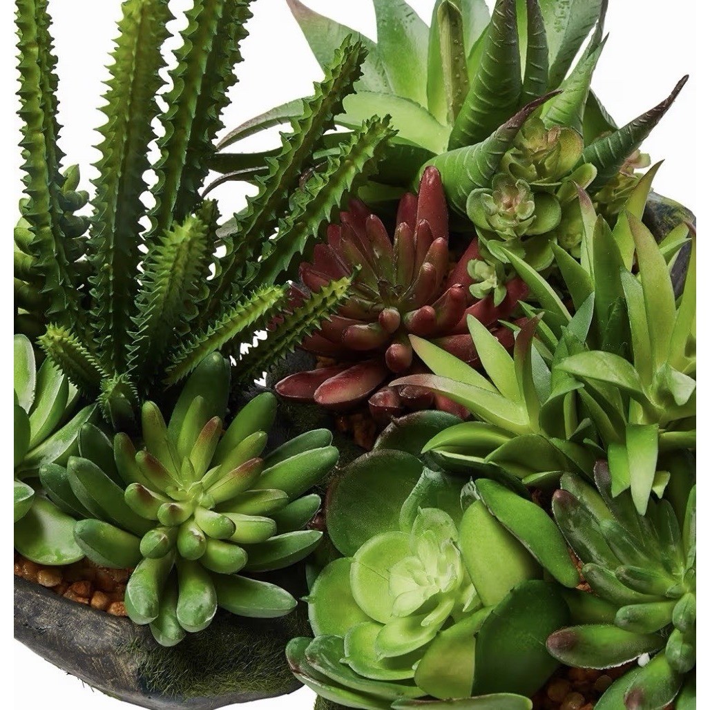 Pure Garden Artificial Succulent Plant Set 3 Piece Faux Stone Pots 50-LG1123