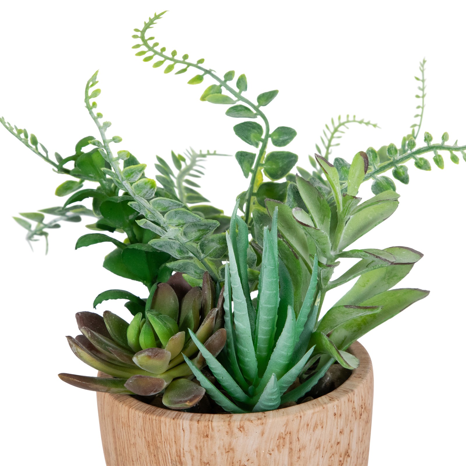 Potted Artificial Mixed Succulents and Fern Arrangement – 12″