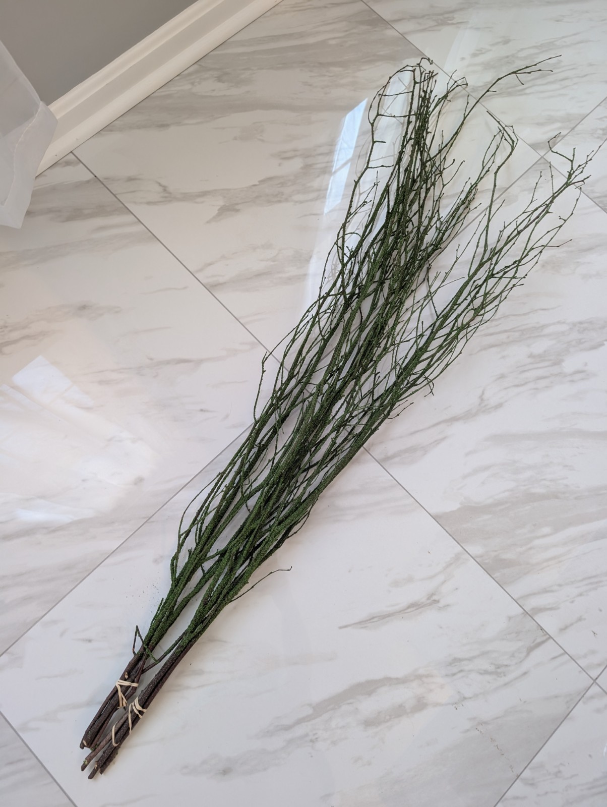 47in Green Coated Reeds Bundle x10 Branches