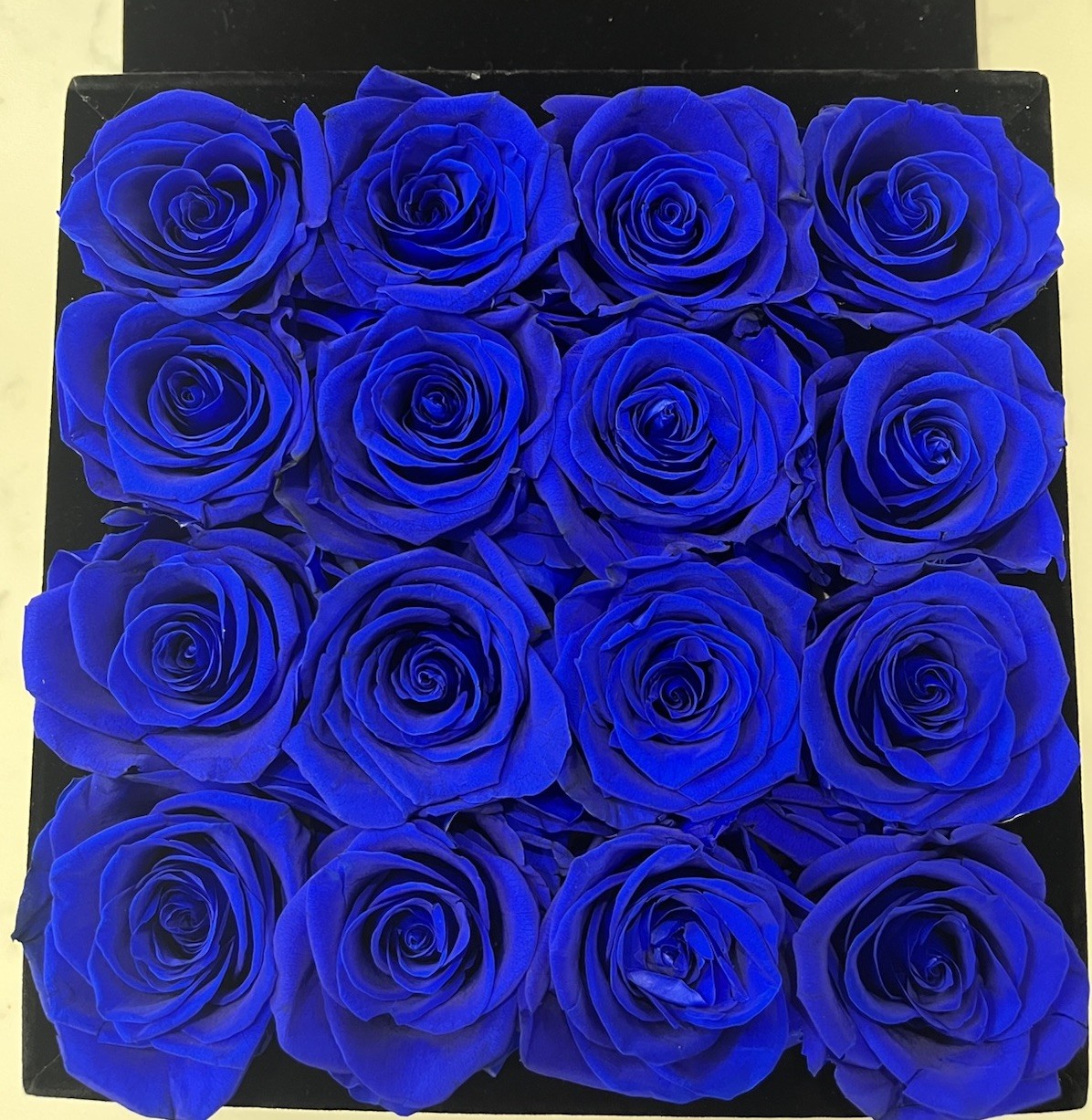 Rose Forever Blue Roses in Black Velvet Box 16 Preserved Roses