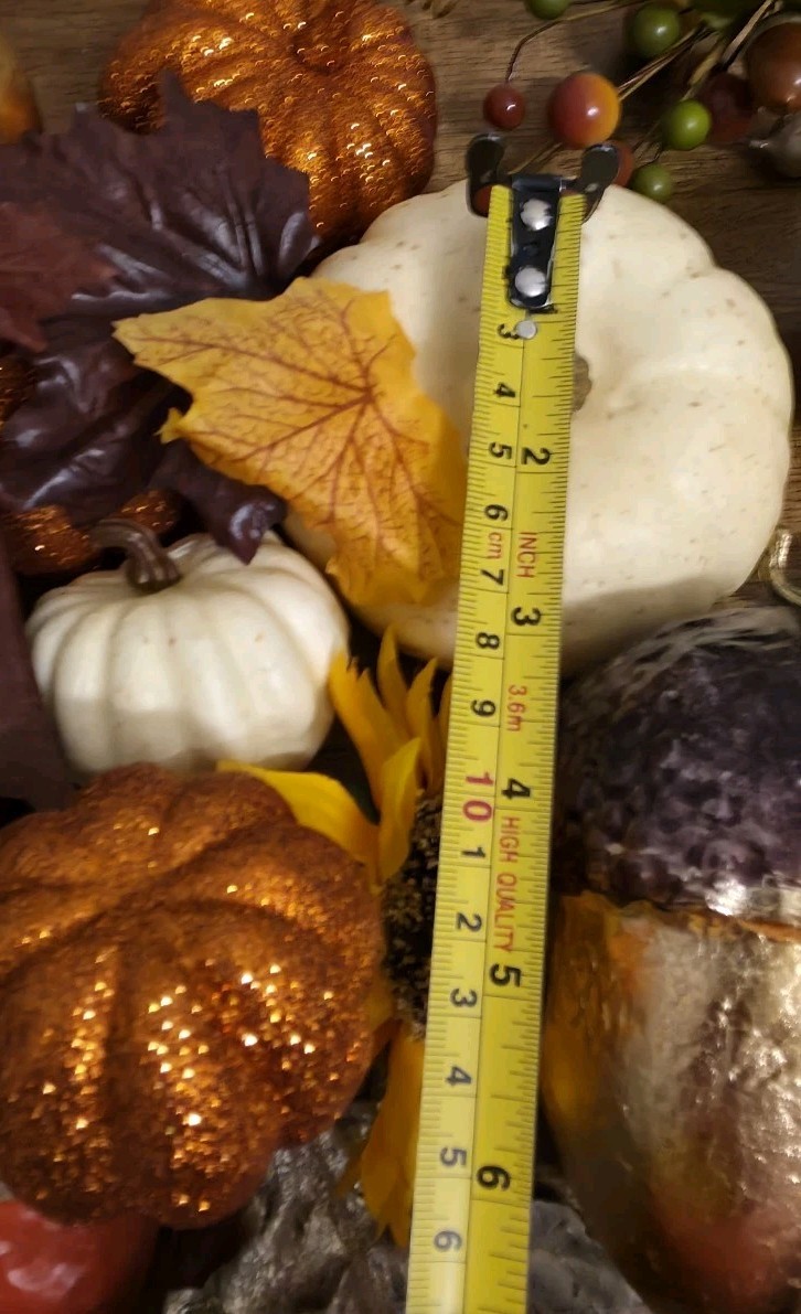 Great Lot of Decorative Fall Autumn Pumpkins Acorns Berries Bowl Vase Filler #1