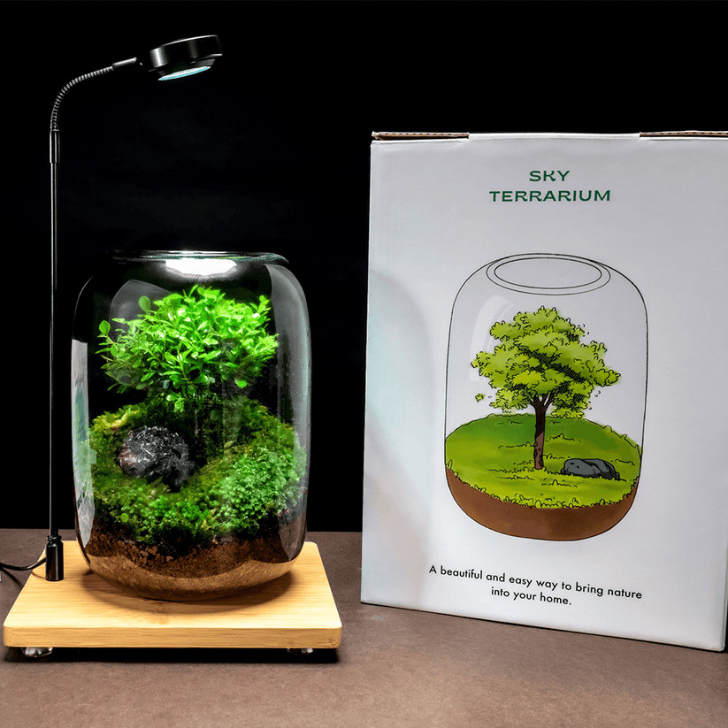 Tree of Life Glass Terrarium | Handcrafted Air Plant Display Decor