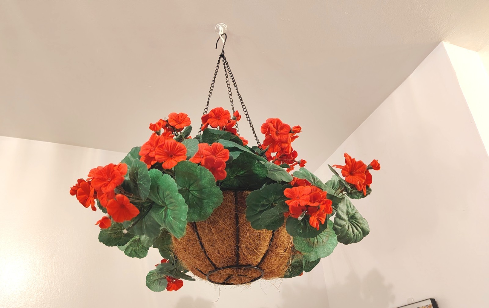 Flowering Geranium Artificial Plant Hanging Basket, Pelargonium W/ Lights, 24″