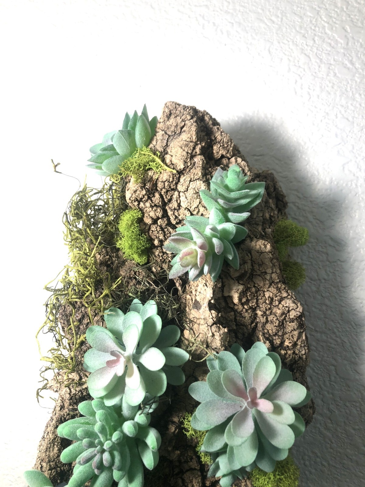 Artificial Succulent Air Plant Wall Art Home Office Mounted on Real Wood Bark