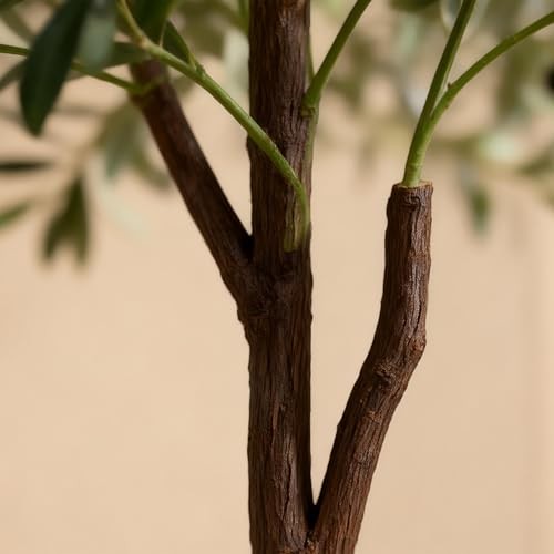 Olive Tree Olive Trees Artificial Indoor 6FT Faux Olive Tree with