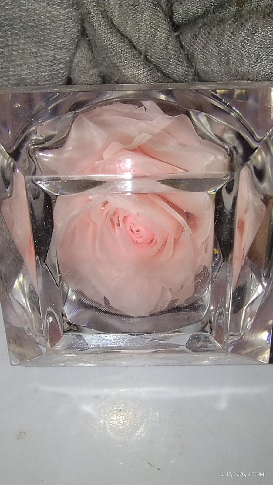 REAL PRESERVED ROSES • SET OF 5 BEAUTIFUL COLORS