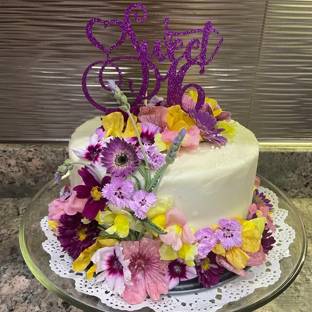 FRESH EDIBLE FLOWERS Pink Collection 50-75 Free Overnight Ship WEDNESDAYS
