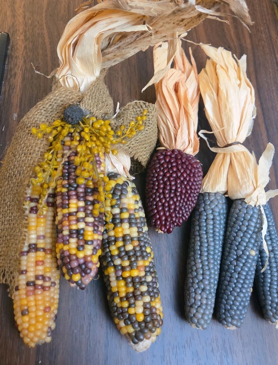 Mini Indian Corn, Approx 7-10″ Long, Thanksgiving Fall Decor