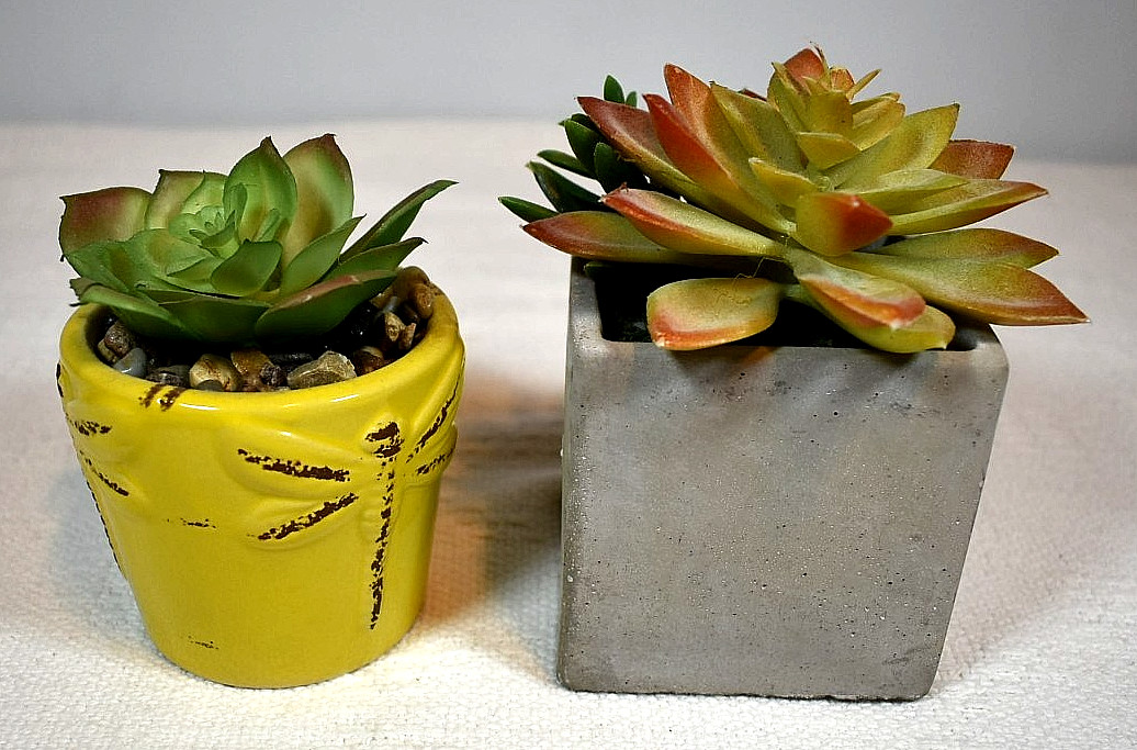 Echeveria & Echeveria/Jade Mix ARTIFICIAL SUCCULENT PLANTS, Set of 2 In Pots