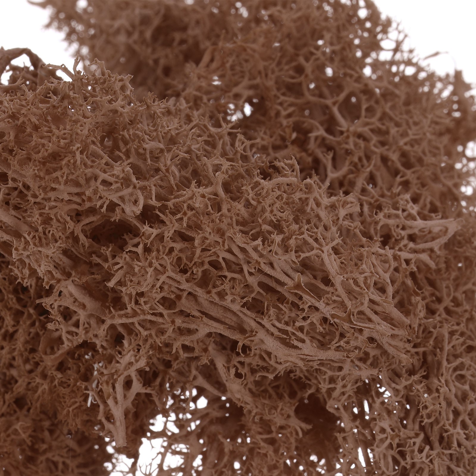7 OZ Fake Moss, Preserved Decorative Moss with Box for Potted Plants, Coffee