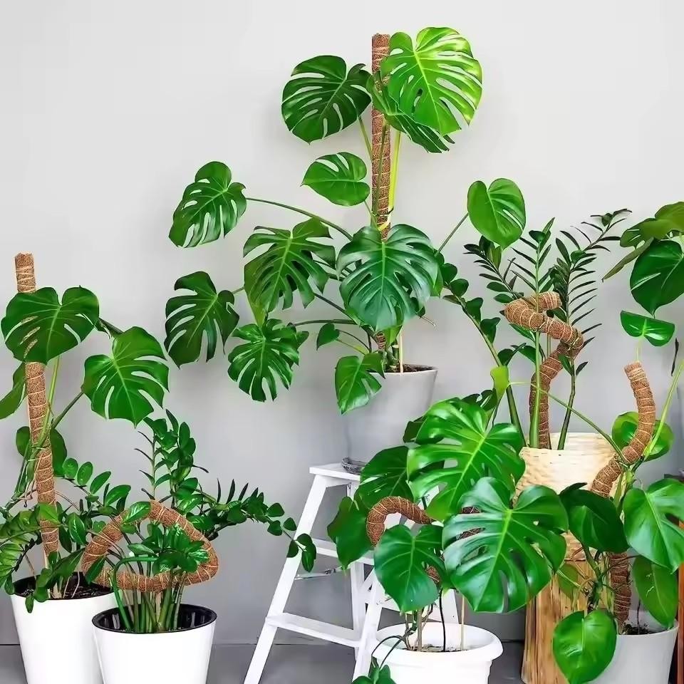 Fake Tropical Palm Tree 90-120cm – Big Plastic Monstera Leaves for Garden & Home