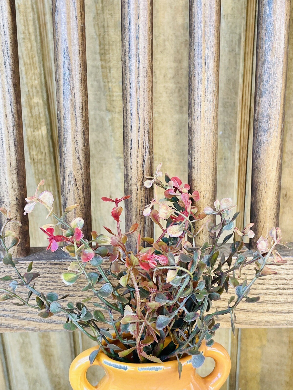 Red Baby’s Grass Pick, 9”