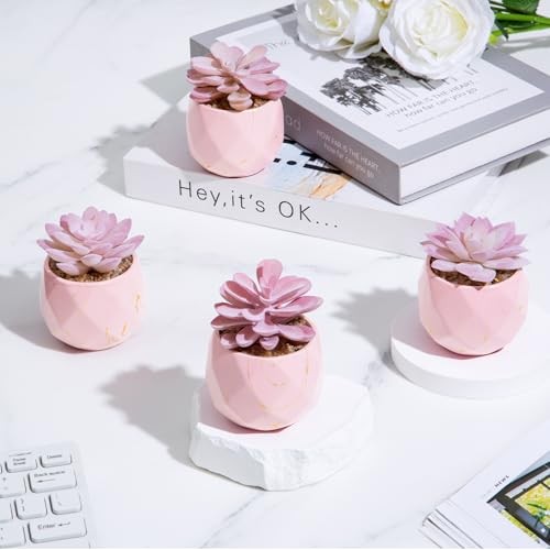 ZENIDA Artificial Succulent Plants in 4 Pink Ceramic Pots, Cute Fake Plants