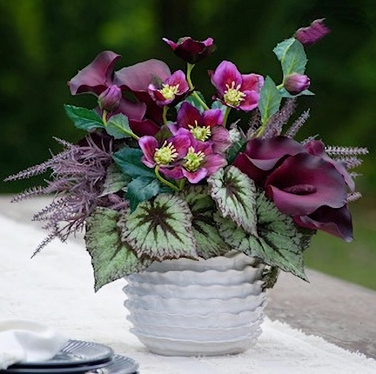 Purple Wild Hellebores, Calla Lily & Begonia Leaf Arrangement – FREE SHIPPING!