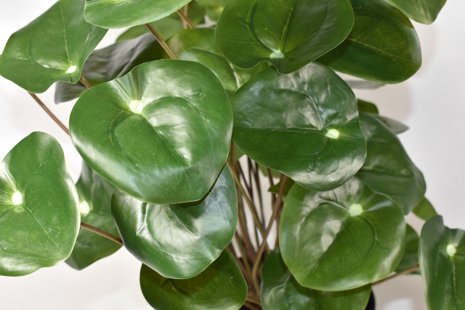 Pottery Barn Faux Elephant Ear Plant Plastic Pot Large 15″ NWOT – NO PLANTER POT