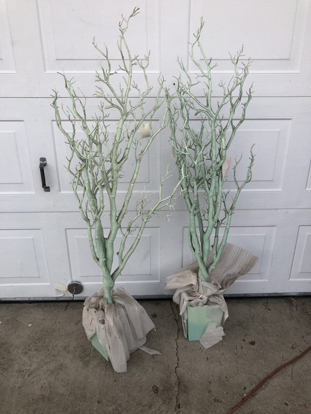 Manzanita Tree Centerpiece Lot Of Two