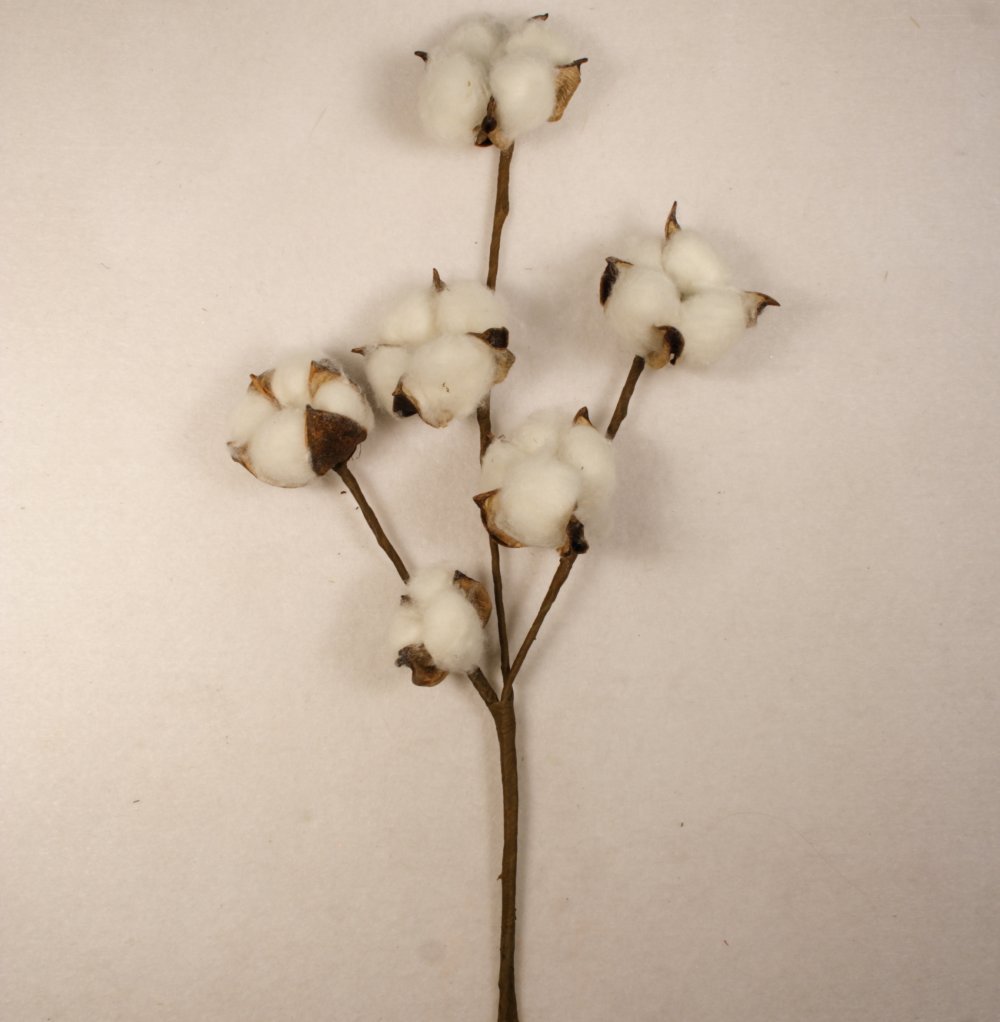 11″ Cotton Boll Cotton Stem Spray 6 Bolls Per Stem (3 Piece Lot)#00104029010