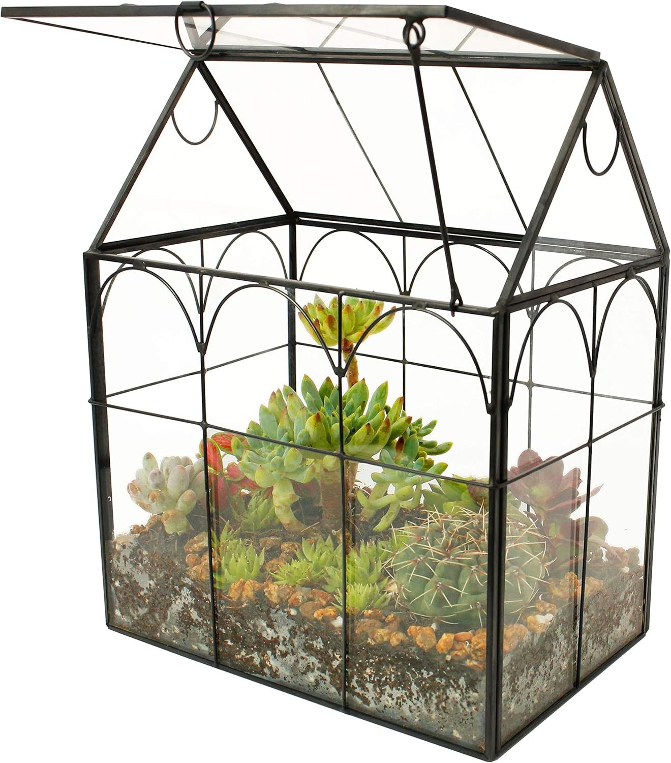Glass House Geometric Terrarium for Plants