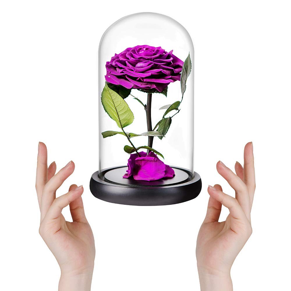 Preserved Flowers Handmade Purple Rose in Glass Dome 9 inch Romantic Gift