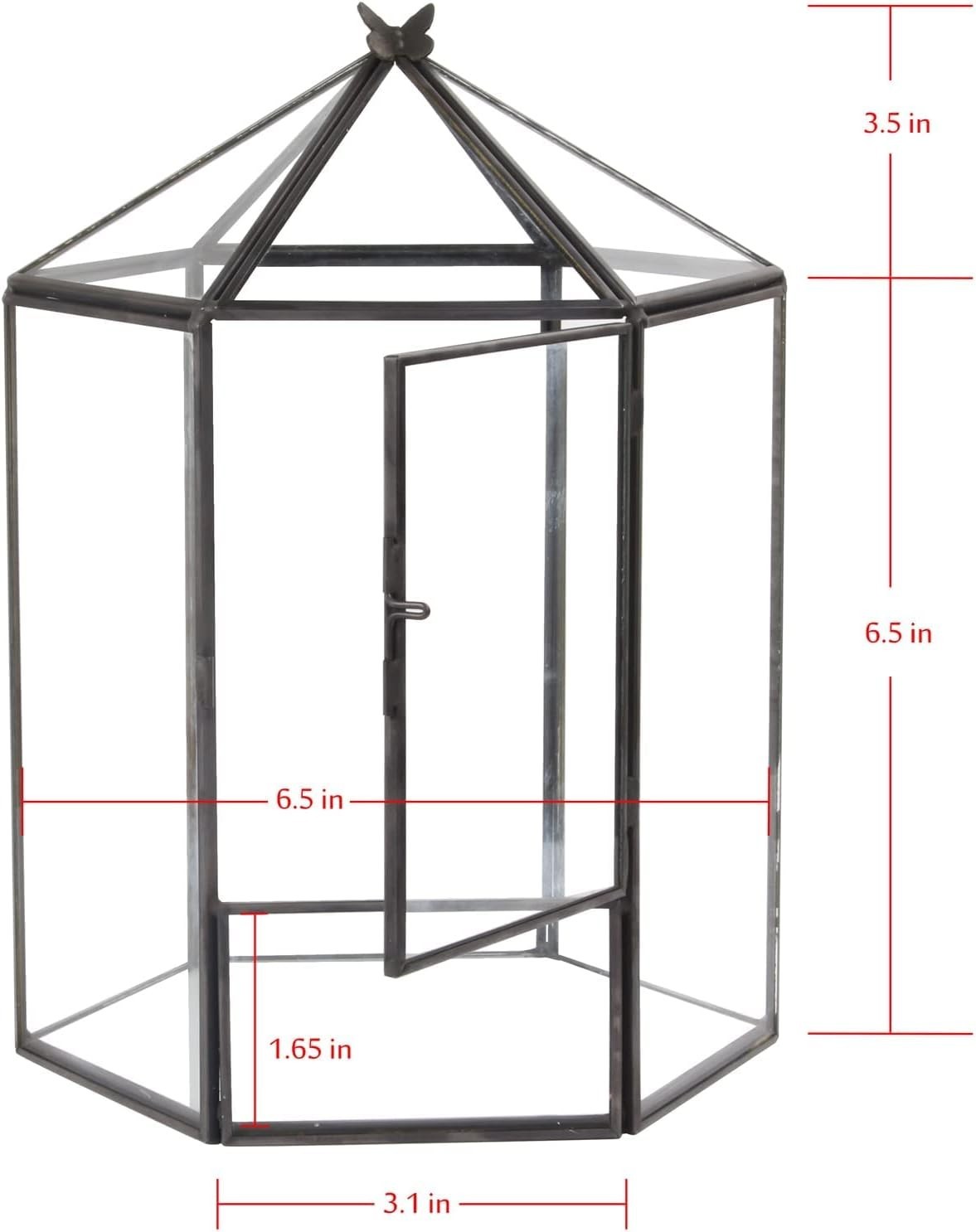 Hexagonal Black Plant Terrarium Kit