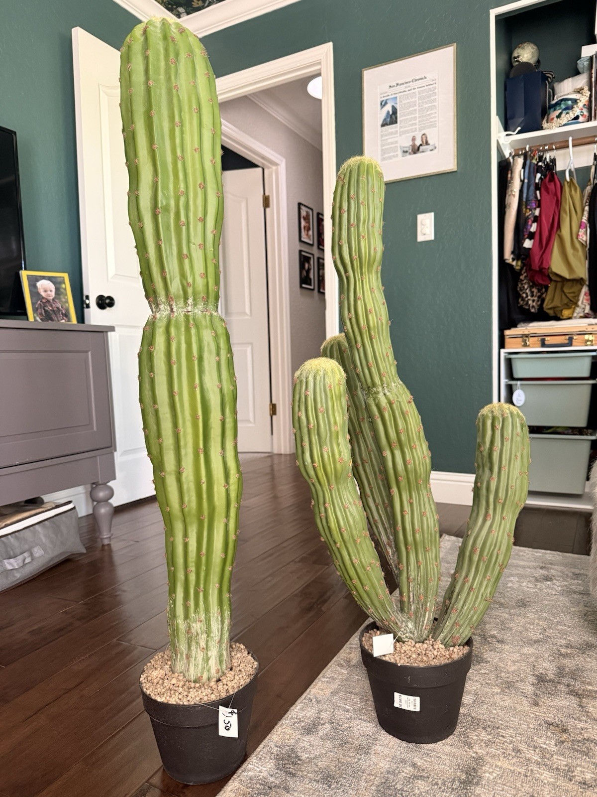 Artificial Cactus Set of 2 Faux Plant
