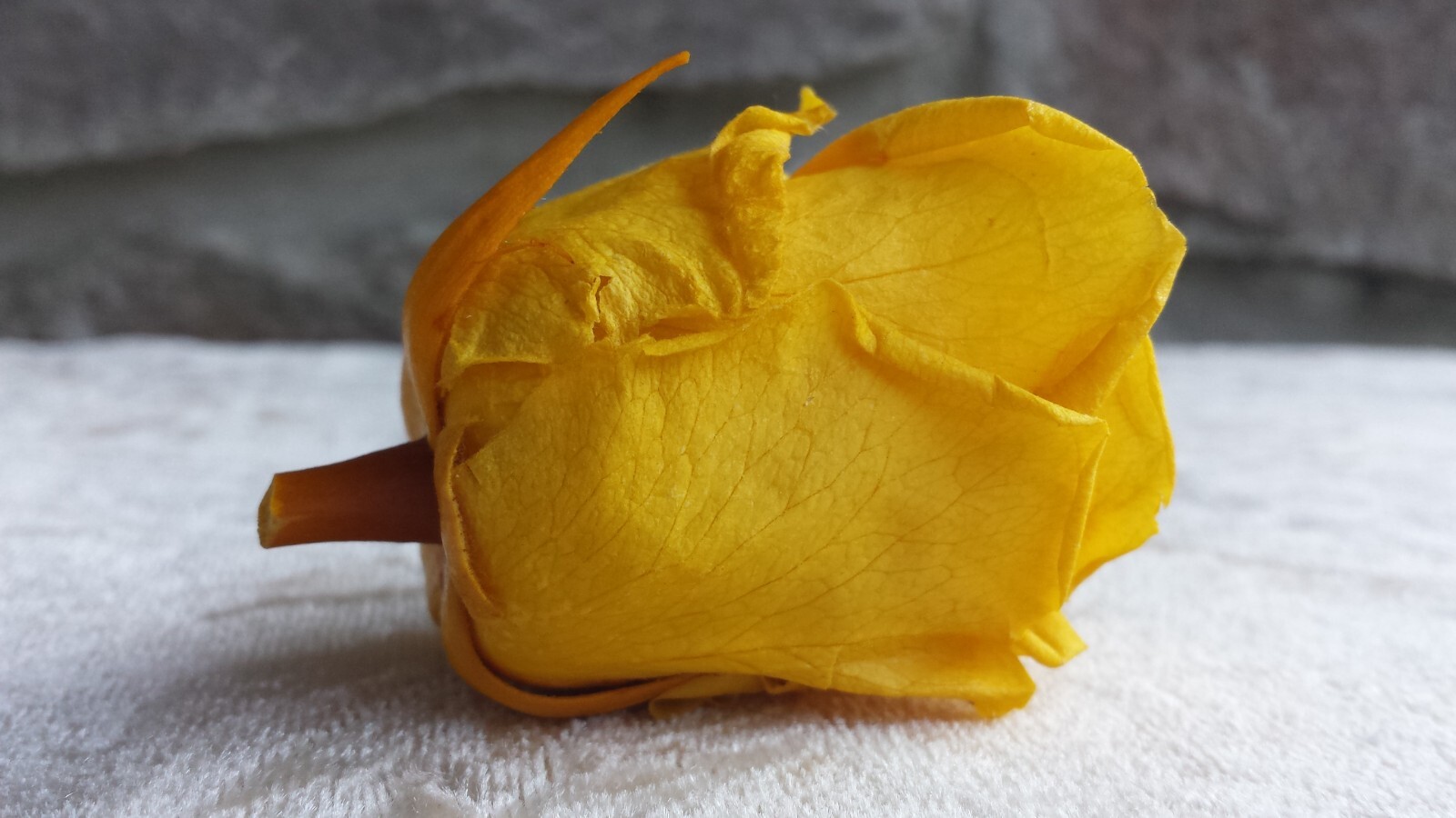 12 Yellow Rose Heads Flowers Silk Soft Artificial Fake DIY Craft Brand New