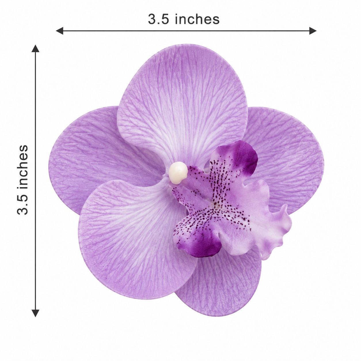 Purple Lavender Touch Orchid Heads Set of 2, 3.5 Inch Phalaenopsis Blooms for Co